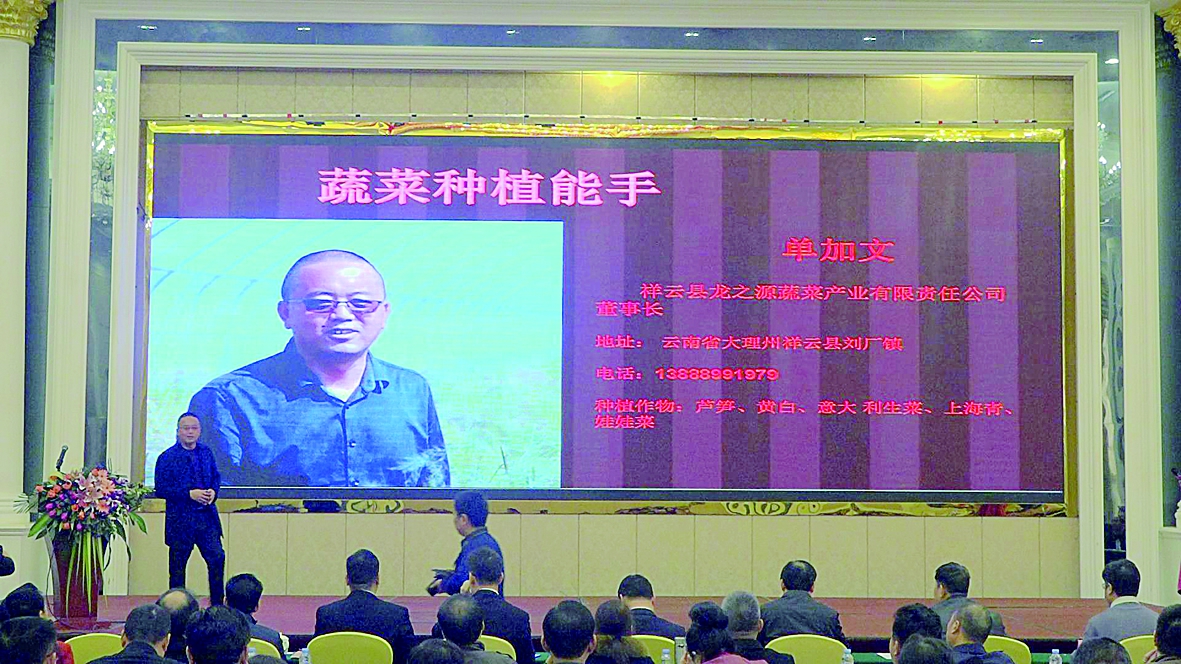 ����ܡ����B(y��ng)����ԭ��ɫ�r(n��ng)�I(y��)