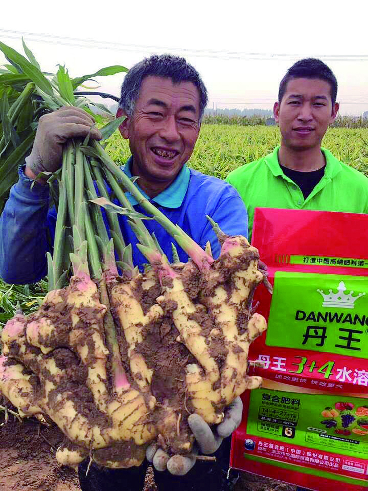 �������� �a(ch��n)�������