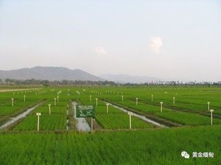 ���컯�_�l�����r�I�Ј�