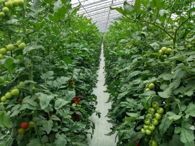 ɽ�|�۹��r�I�ָ����L����� ��Ʒ�|�r�I��Ҫ������