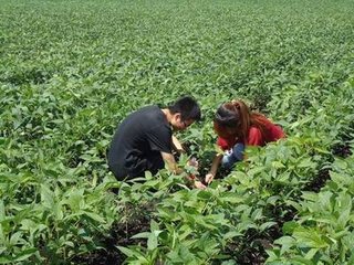 �r(n��ng)��ʘI(y��)���M(j��n)�R����a(ch��n)�I(y��)�l(f��)չ