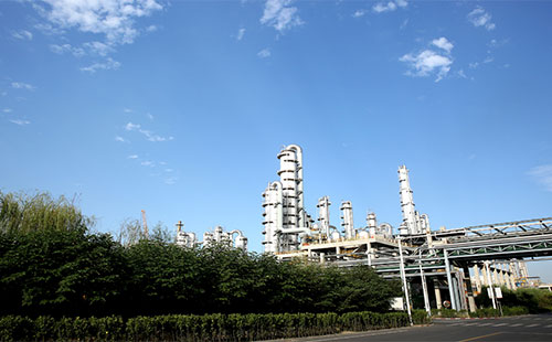 �������F���ԆT�������� �D���Lץ�䌍