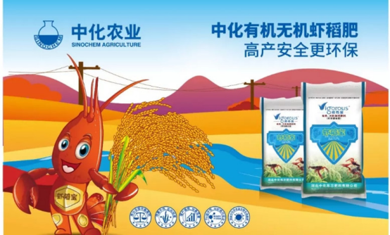 �л��r������Ʒ�|�fԒ �ƌW���Ͼ������