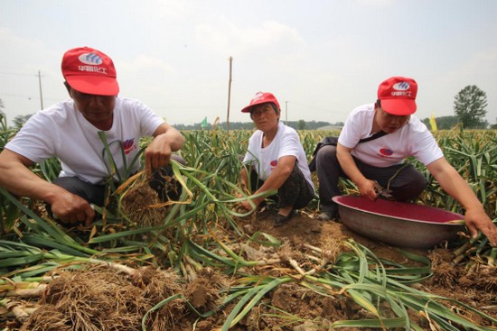 ��������  ģʽ����  Ч������  ��һ�ӵ��^Ħ�����@��(1)819.jpg