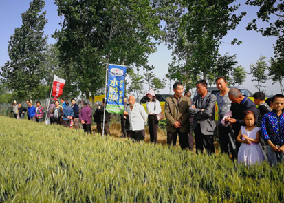 ���B�ĺ�������ֲ�����С���߮a(ch��n)