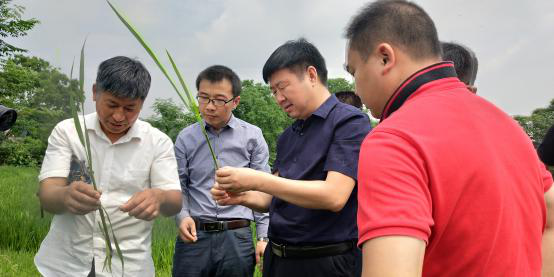 Ҋ�C�c�H�v��������ҹ��ȷʘI���ϵ����ؽ��ٷ��ؿ���