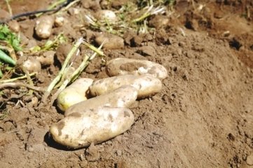 ����������߮a