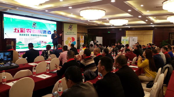 ����ʾ����r�I ǰ�M������y��Ʒ�M܊�����Ј�