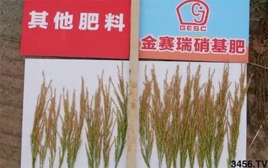 �����󣺹�˾�c��˹����Ժ��������������LЧ����������ʽ���У�