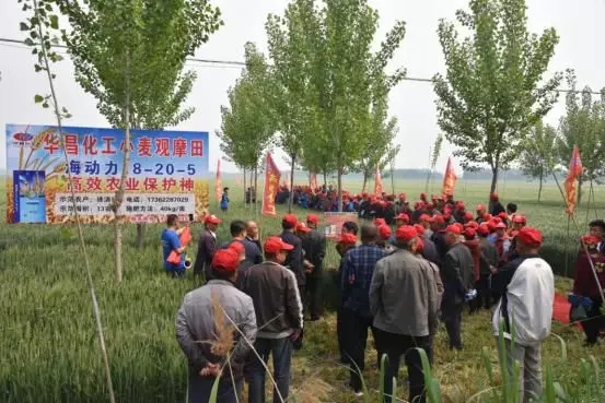 �����u���ڱ� ��Ч���QЧ�棡�A�������و������^Ħ�����M�ڿh