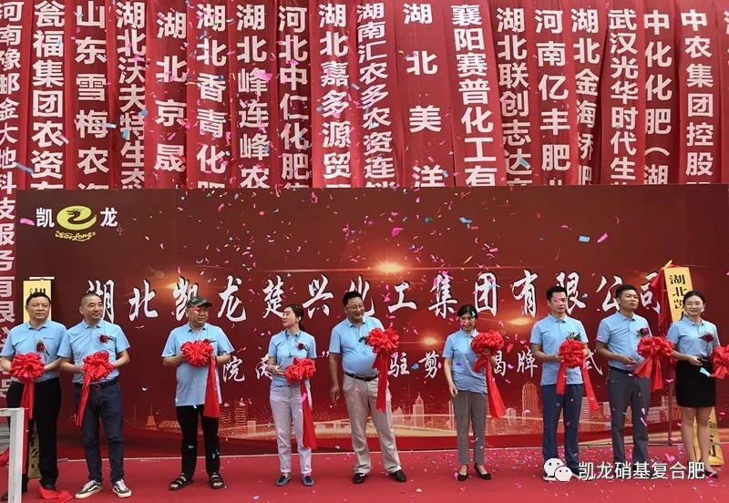 �P�����d���F