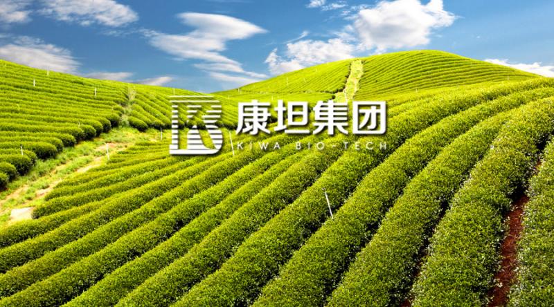 ��̹�������ͷ��ϼӹ����g(sh��)ԇ�(y��n)�ɹ� ��(sh��)�F(xi��n)����������ͻ��