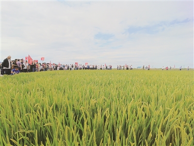 ��ȷʘI(y��)��׌�}�A��׃����