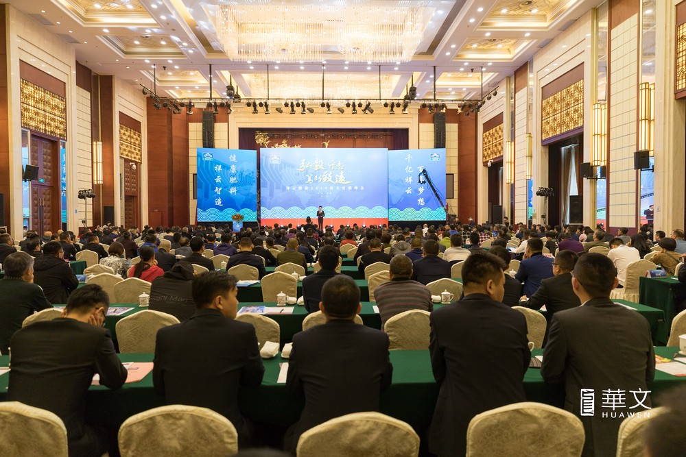 ���ƹɷ�2019���Ϸ��I�N���