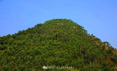 �V����@��(zh��n)��(li��n)�˷��(hu��)ʢ�����_��