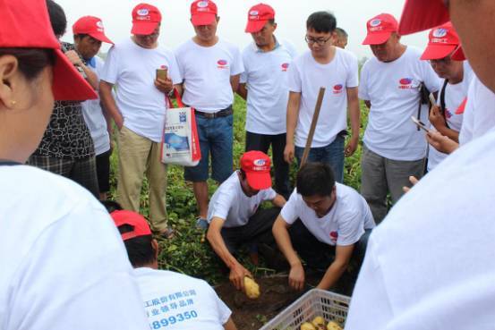 �A���������I�������p�h�t