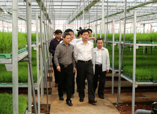 �_�T�Ӷ����L ���ﱣ �LՄ1691.png