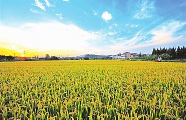 �����Ƅ�(d��ng)�����|(zh��)������